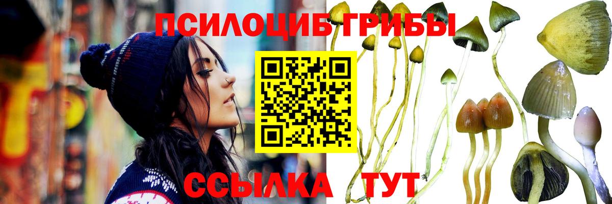 Галлюциногенные грибы Cubensis Ачинск